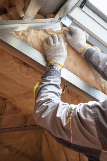 Best Insulation for New Construction  in Kansas City, MO