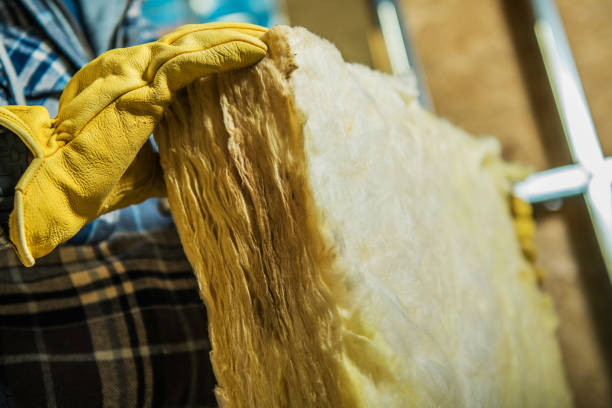 Best Attic Insulation Near Me  in Kansas City, MO