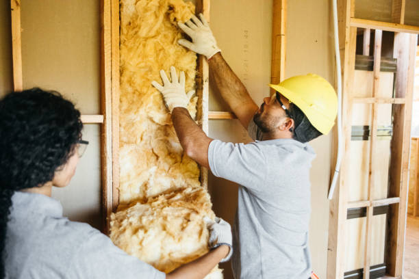 Best Wall Insulation Contractor  in Kansas City, MO