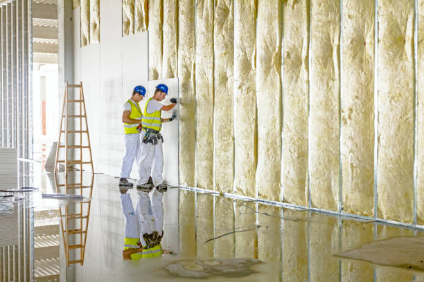 Best Insulation for New Construction  in Kansas City, MO